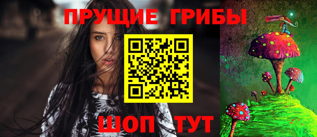 Псилоцибиновые грибы Cubensis Ревда