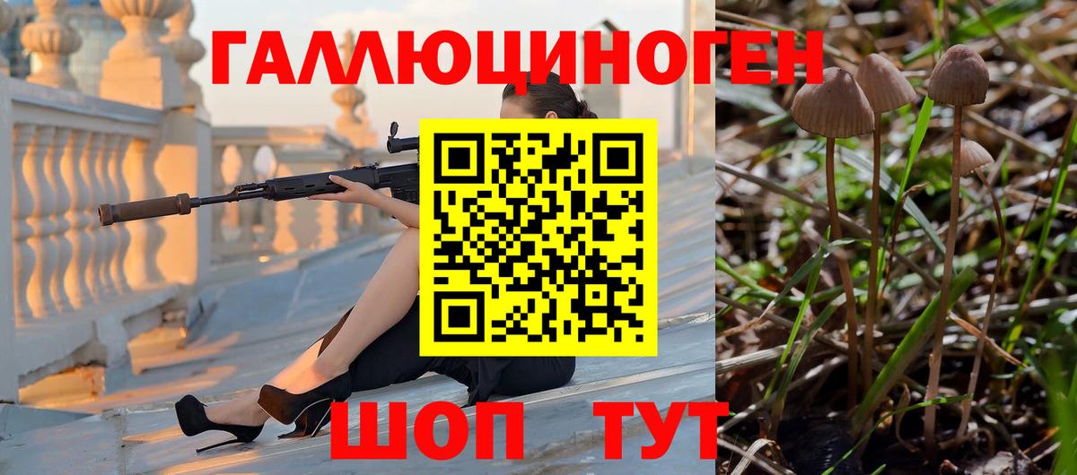 Псилоцибиновые грибы Psilocybine cubensis  Вход с VPN  Ревда 